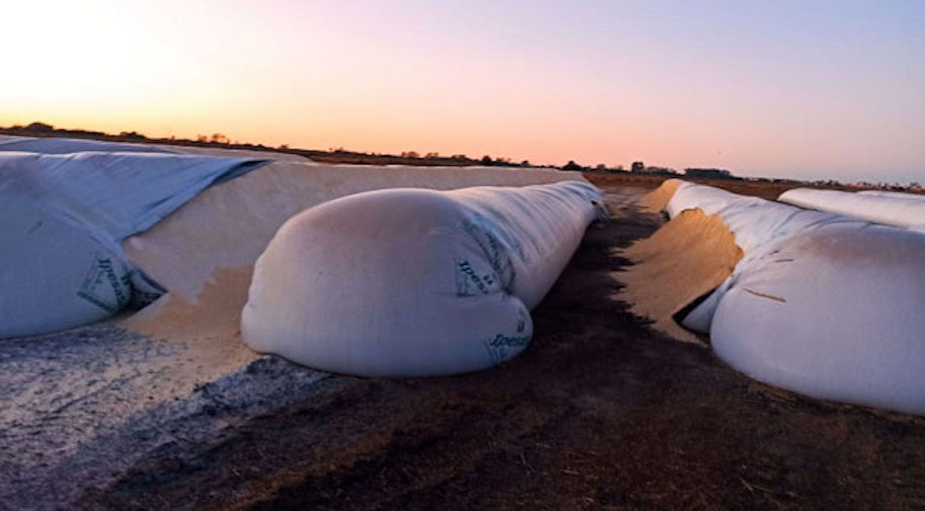 El sector agroindustrial y la CAC apoyaron el proyecto de Massa contra el "vandalismo rural"