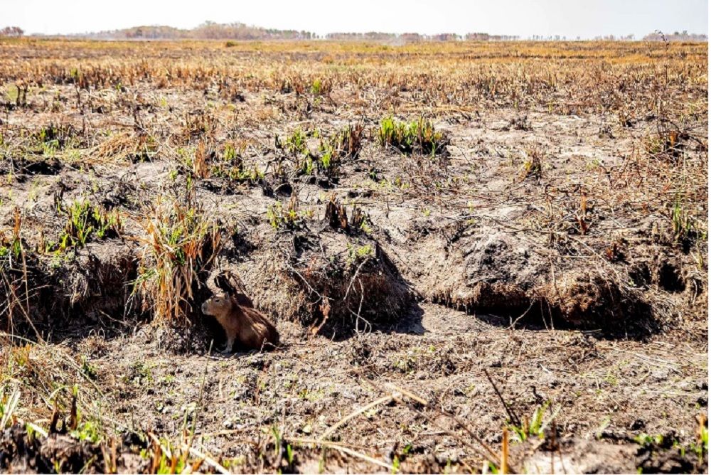 Alerta por La Niña: cómo afectará el fenómeno en Corrientes y qué dicen los expertos