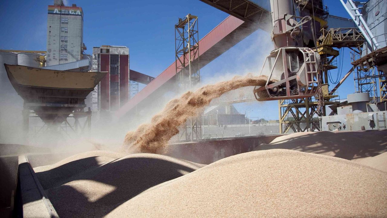 A pesar de la cosecha histórica, se tuvo que importar soja por casi US$ 1.000 millones
