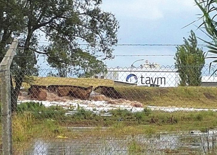 Taym: El peritaje oficial comprueba que contaminaron el canal Los Molinos