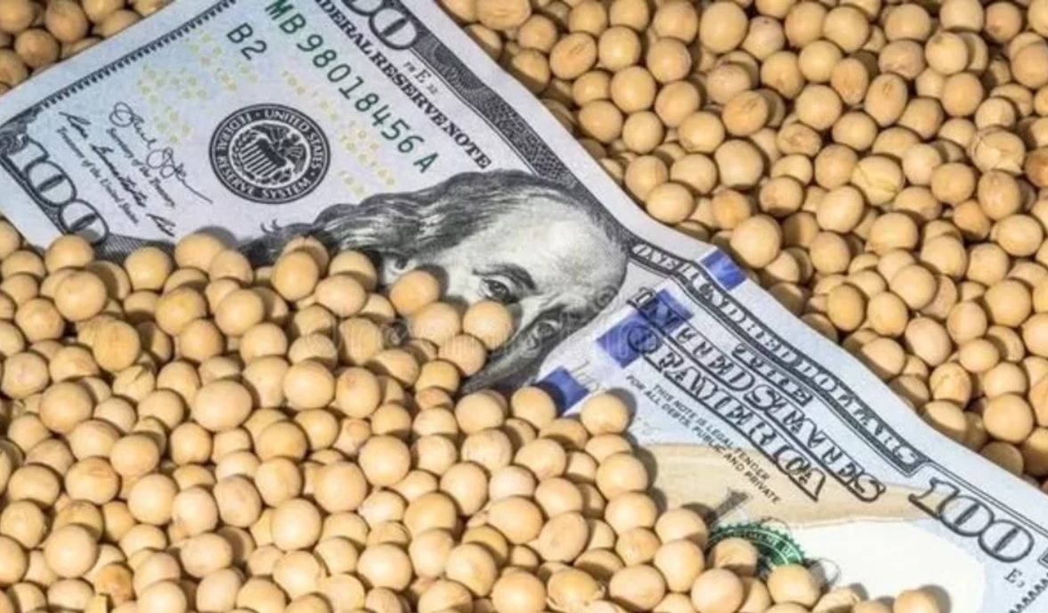Uno a uno, todos los productos que están incluidos en el "dólar agro" de $300