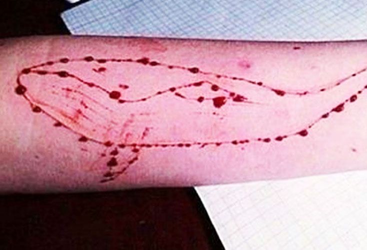 Ballena Azul: detectan en el país al primer reclutador del reto suicida