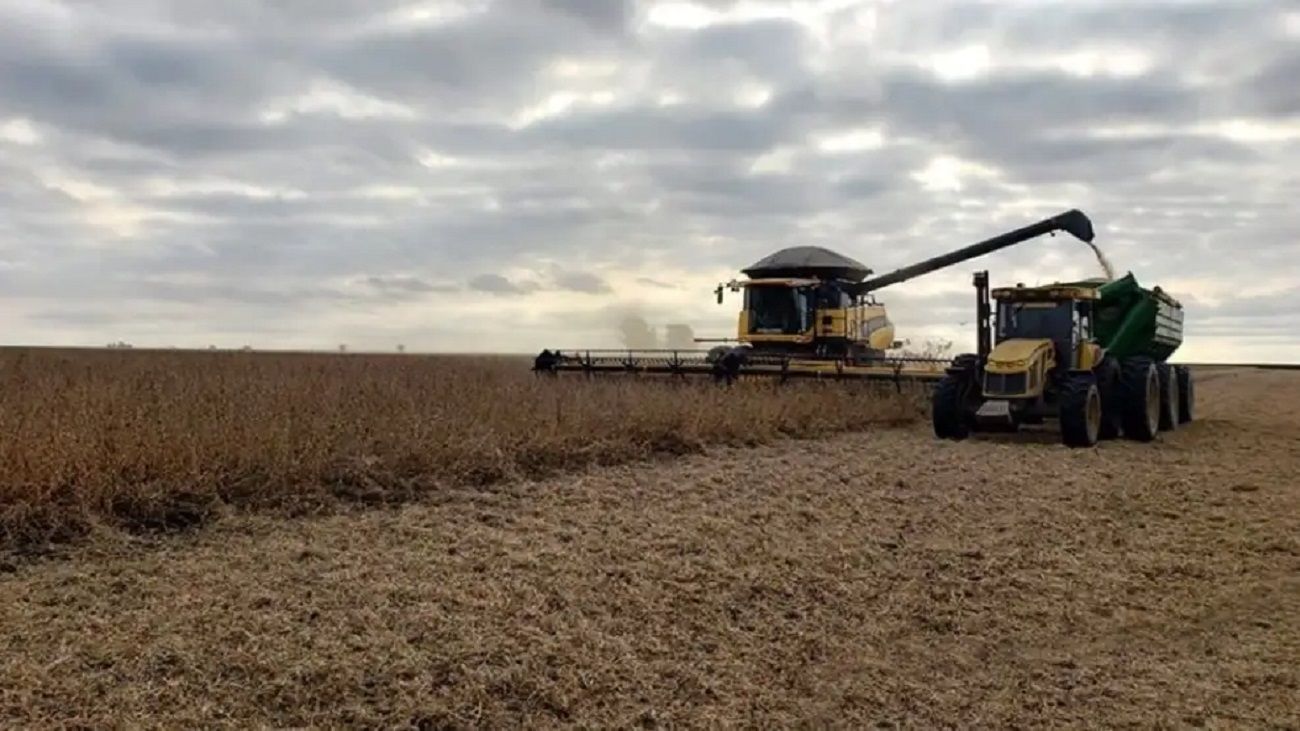 Falta de rentabilidad en el agro: “Cada vez somos menos productores los que quedamos en la carrera”