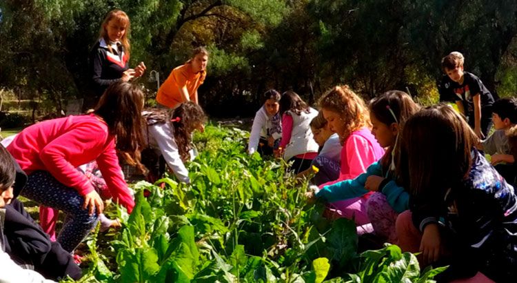 Propuestas sin pantallas: las opciones para los chicos en vacaciones de invierno en Córdoba