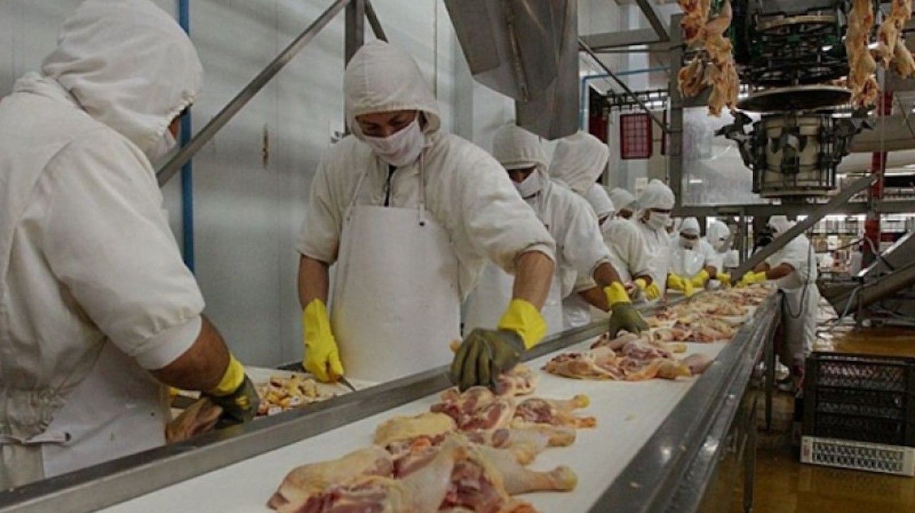Pollos: la industria prevé menos producción por la caída de exportaciones