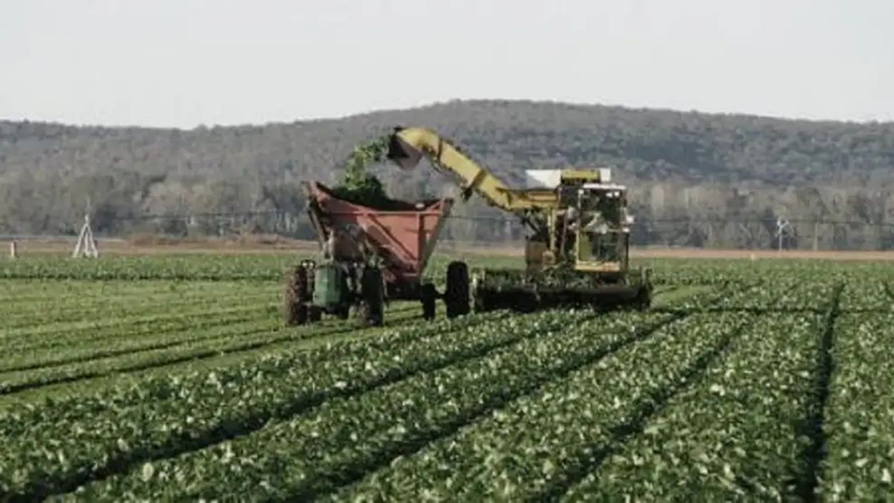 El aumento de la longevidad y las alternativas de inversión: cómo impacta en el agro