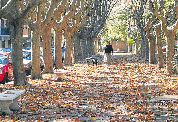 El Día del Otoño