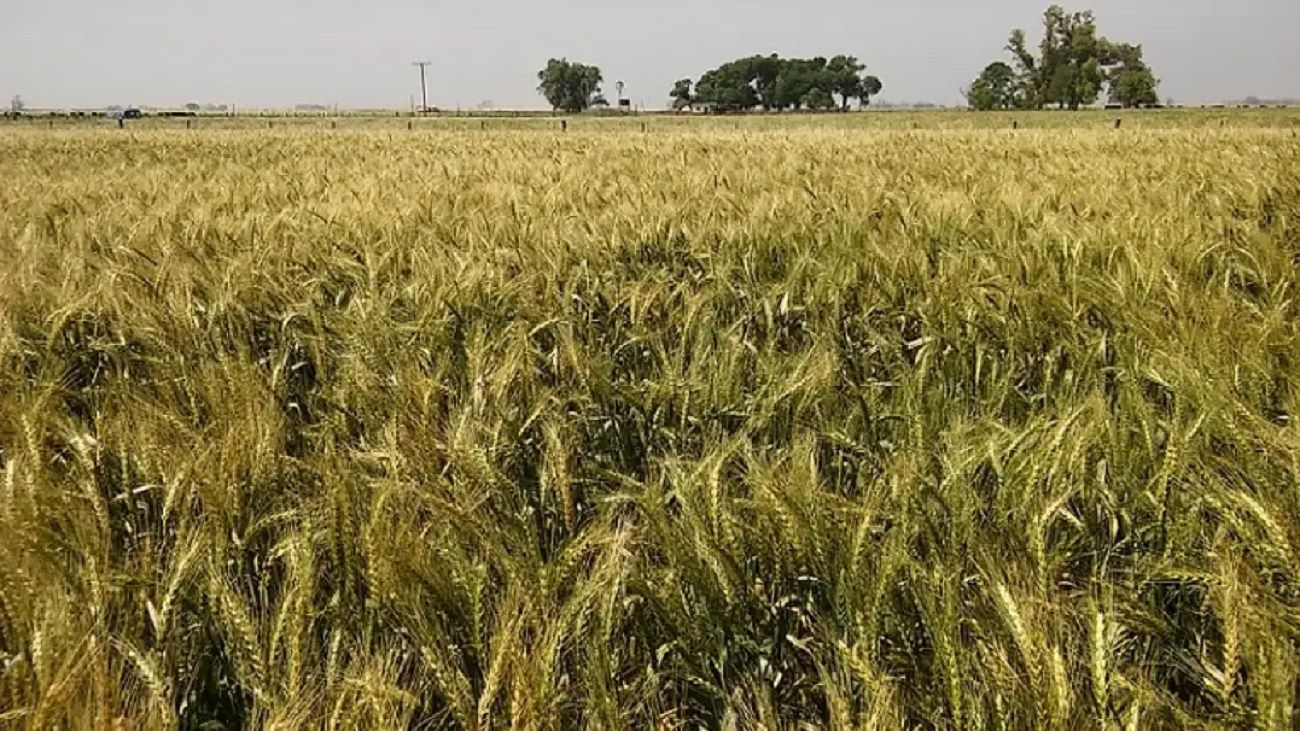 Cómo se maneja el sector inmobiliario rural en tiempos de crisis hídrica