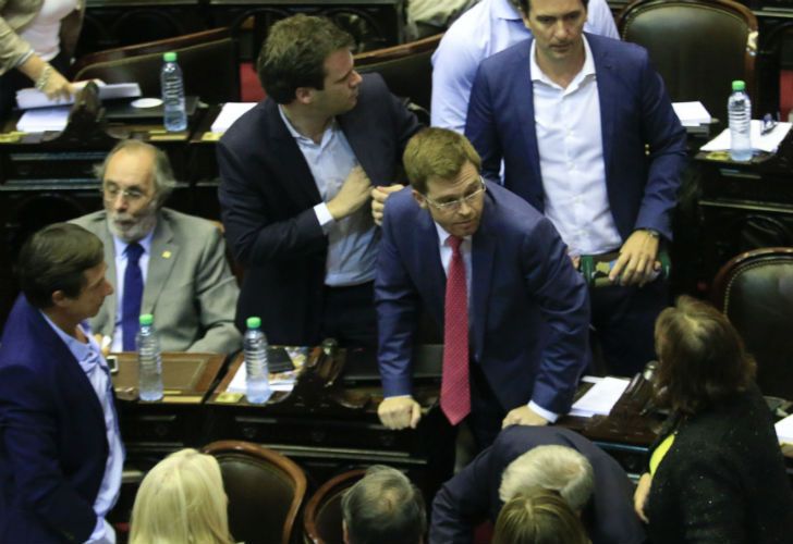 Massot anticipó que denunciarán a los diputados "energúmenos"