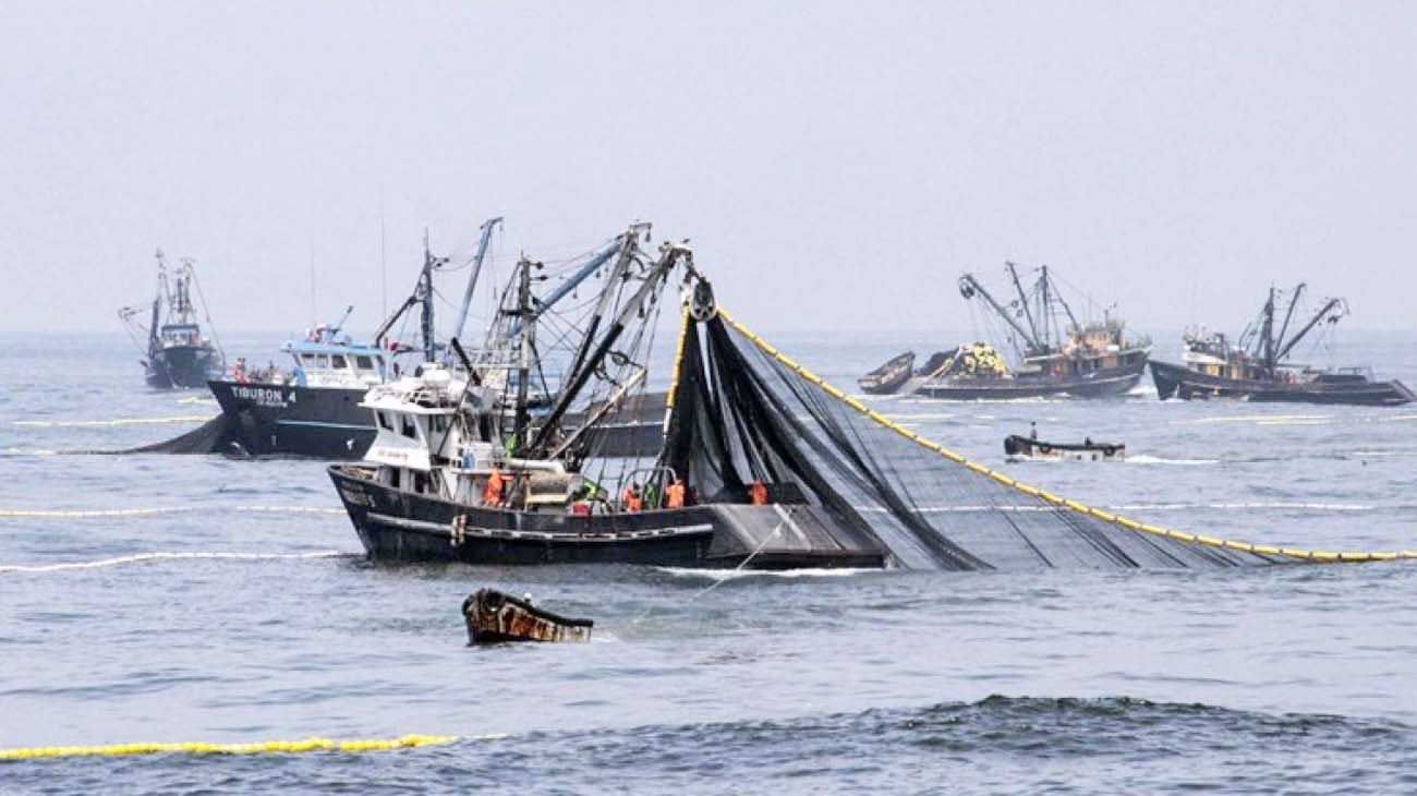 Pesca ilegal en el Atlántico Sur, una ruleta rusa ambiental
