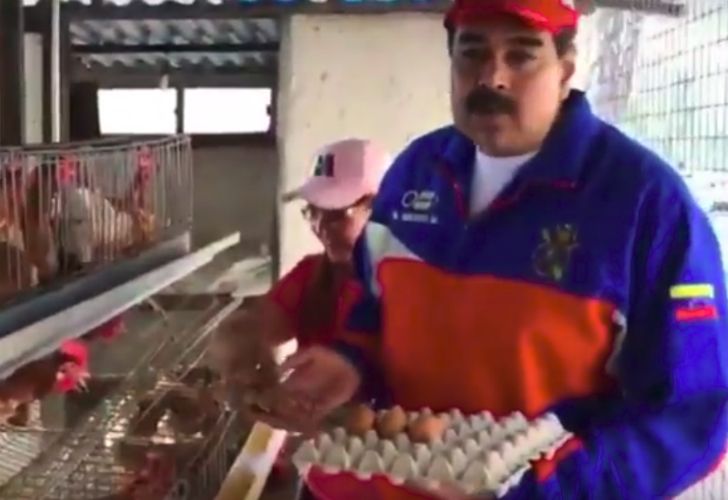 Ante la escasez de alimentos, Maduro alienta a criar gallinas en las casas