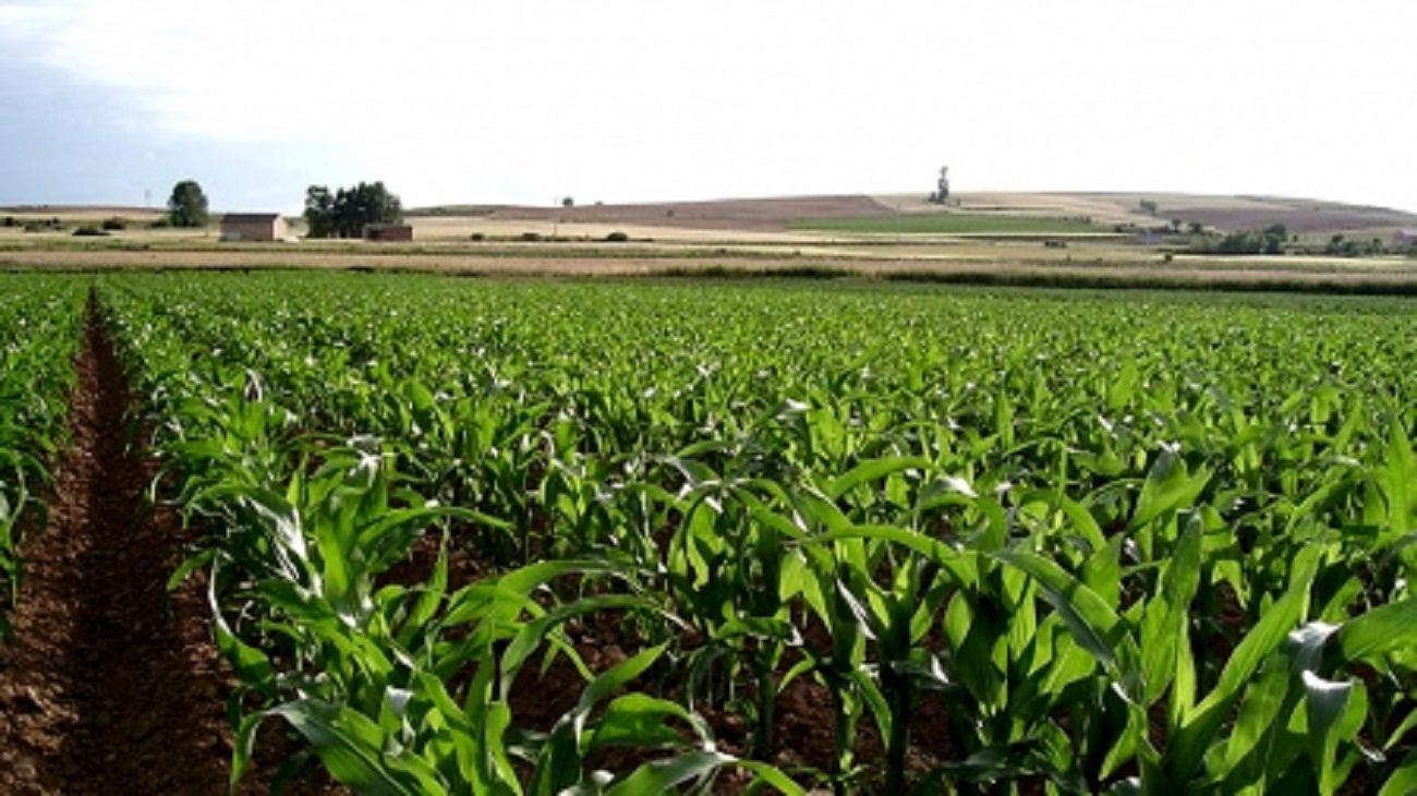 La sequía y el Estado, las dos principales complicaciones del desarrollo agrícola