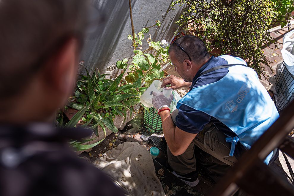 Cómo se prepara Córdoba para enfrentar el pico de casos de dengue que llegaría a fin de mes