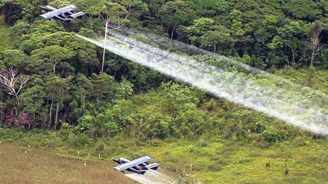 La Justicia suspende el proyecto minero más grande del Amazonas
