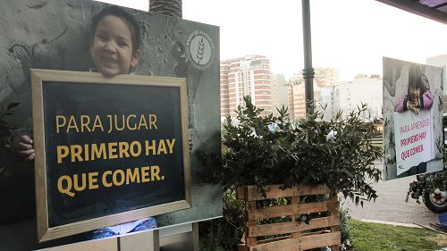 Senado define ley que evitaría perder 16 millones de toneladas de alimentos