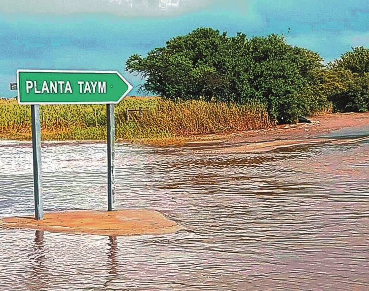 Imputan a directivos de la planta Taym por contaminación ambiental