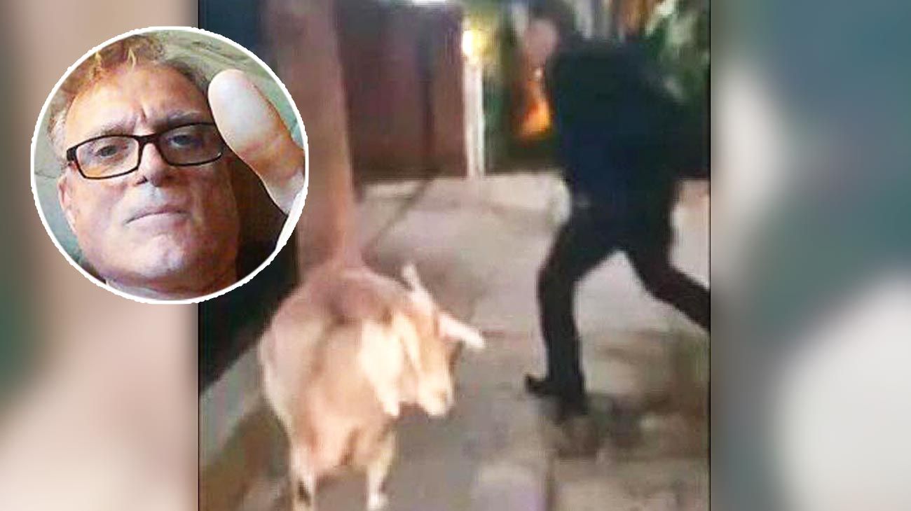 Reclaman que Conzi vuelva a prisión porque sacó a pasear cabras