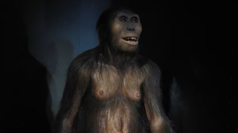 Un viaje a las raíces de la humanidad