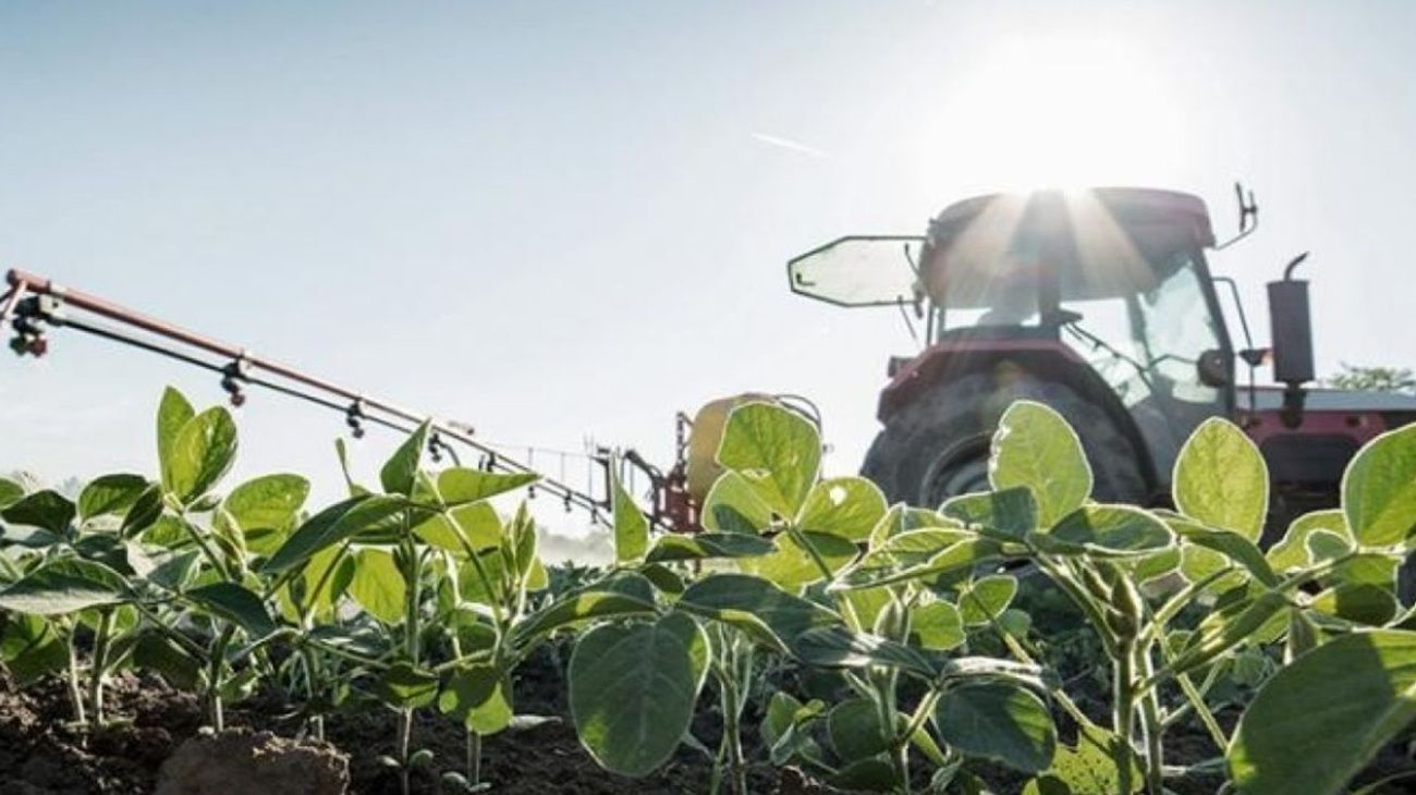 El Consejo Agroindustrial Argentino destaca el impacto positivo de la reducción temporal de retenciones