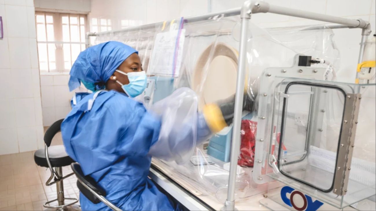 La ciencia por sí sola no detendrá la fiebre de Lassa