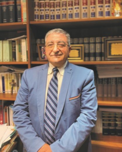 Estudio Ortiz Pellegrini: especialistas en Derecho Constitucional y Penal