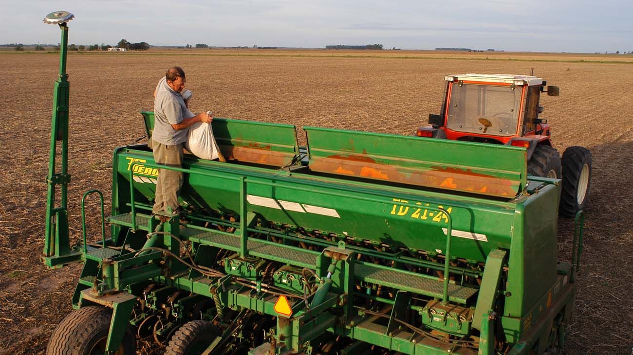 Tres factores clave del agro que se necesitan solucionar