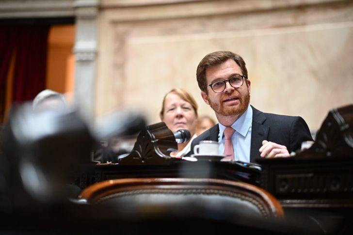Massot pide que Milei se presente como víctima y denuncie a los responsables