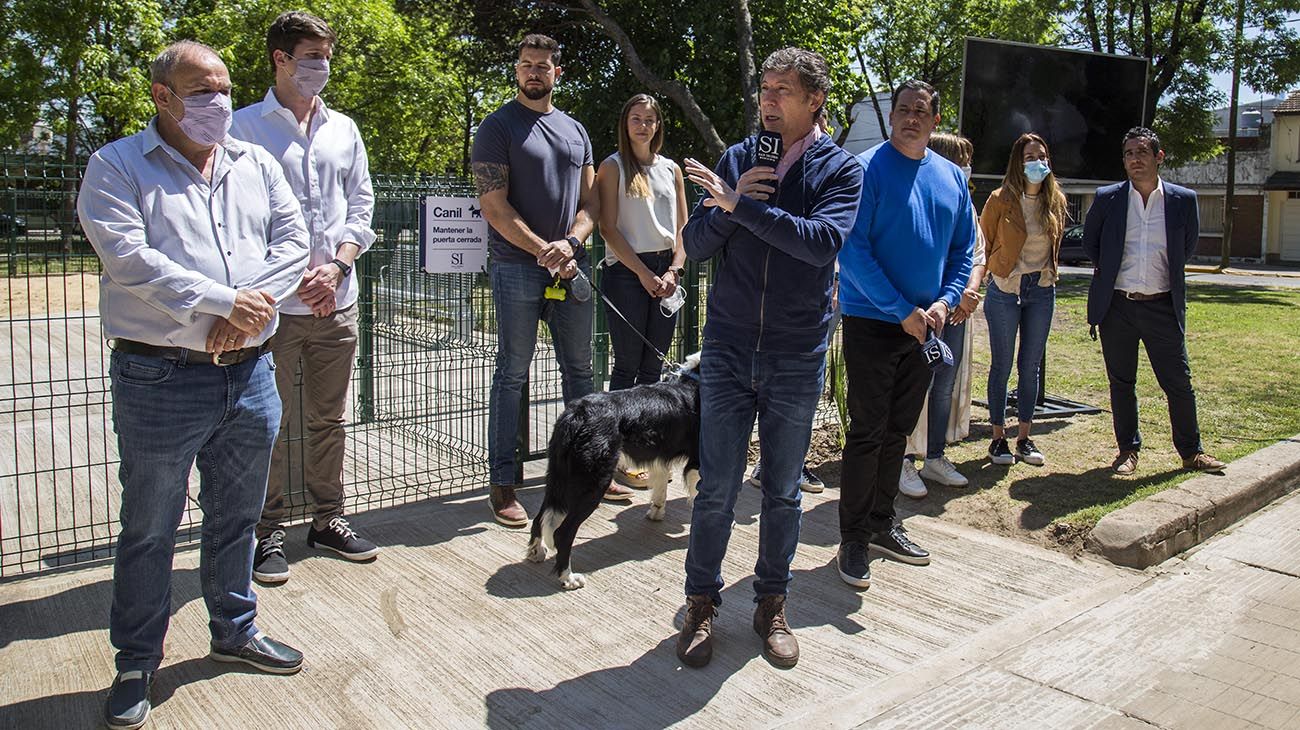 San Isidro lanzó un portal municipal de adopción de mascotas