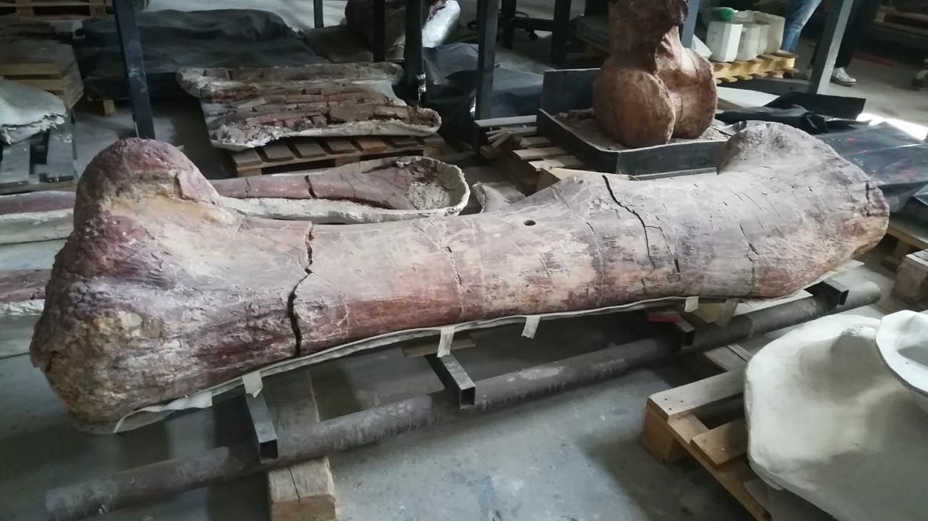 Otro mega hiper saurio argentino