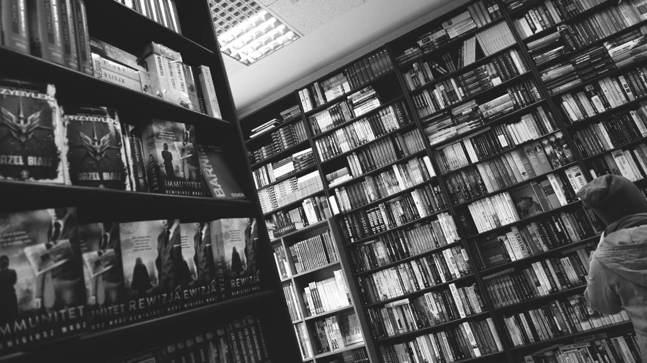 Flaubert, Verne, Melville