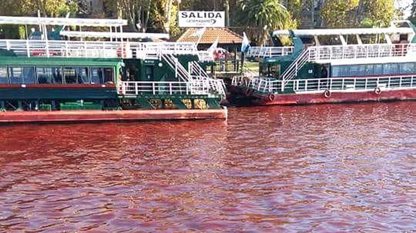 Tigre: el río se tiñó de rojo por un "vuelco clandestino"