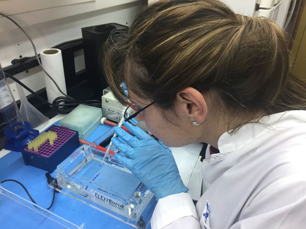Estudio: la inversión en bienes de capital para hacer ciencia se redujo 65% en dos años
