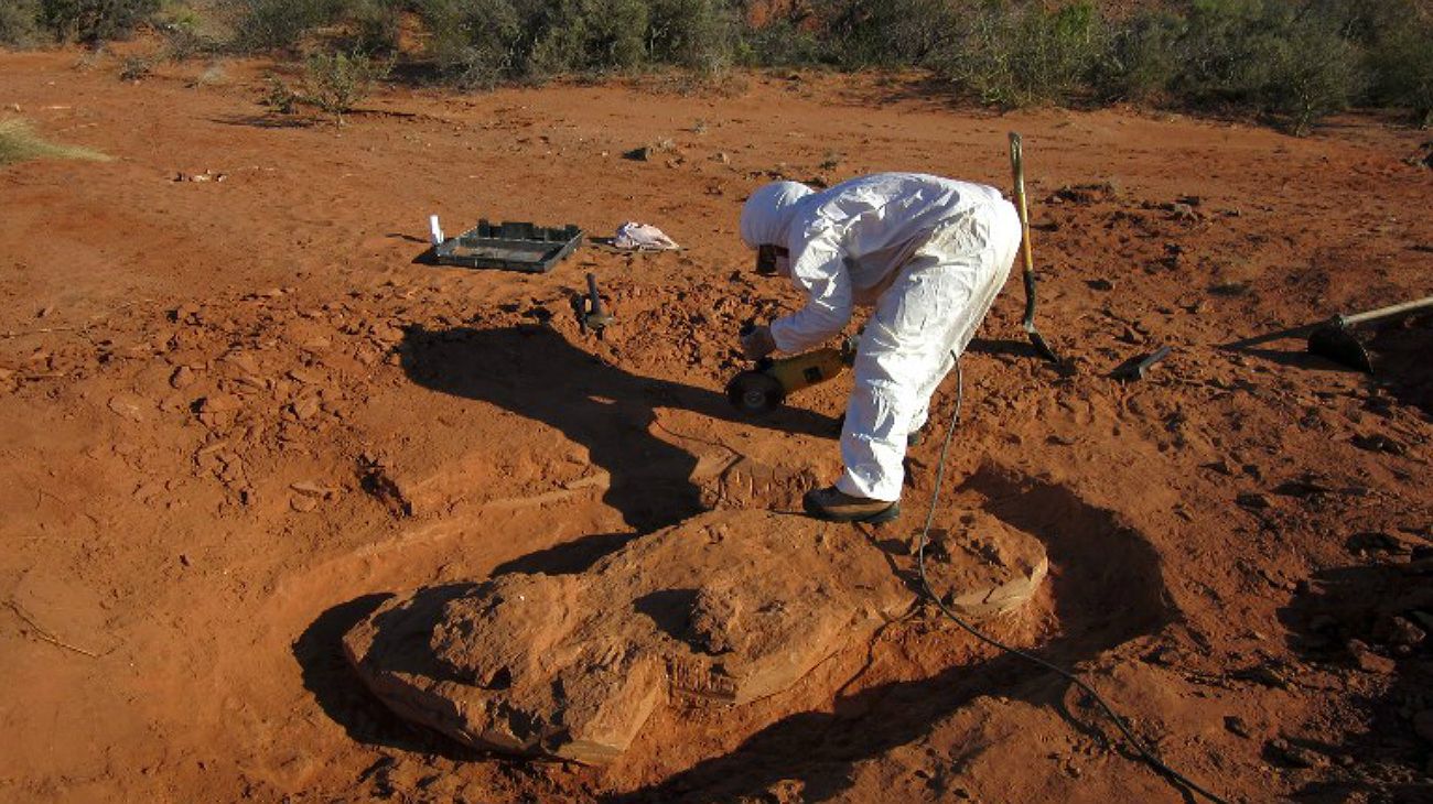 Descubren dinosaurio gigante de más de 200 millones de años en San Juan
