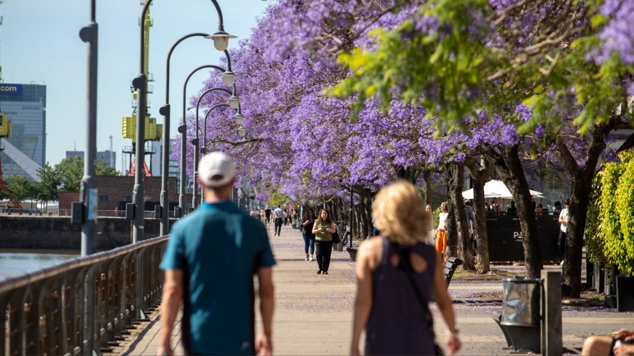 Lunes soleado en el AMBA y CABA: cuál es la máxima este 10 de noviembre