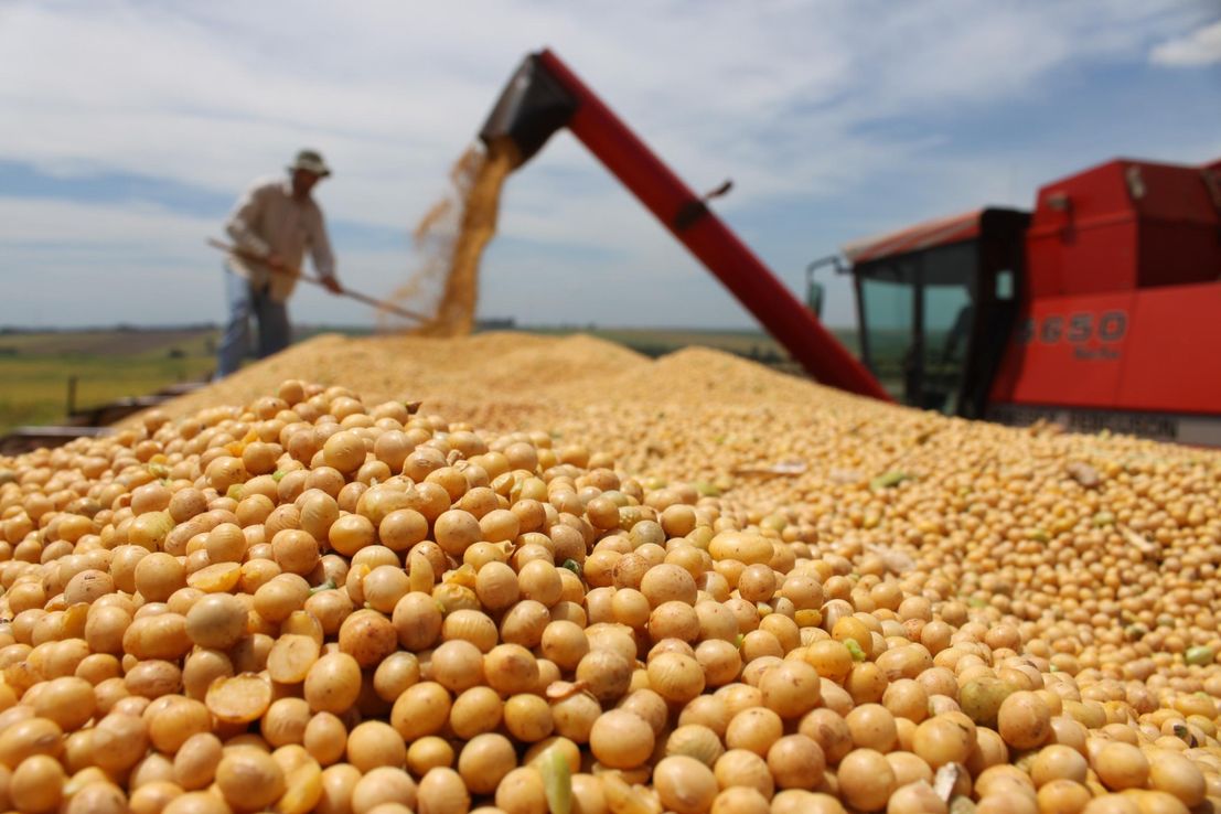 Córdoba: el Estado se queda con el 60,2% de la renta agrícola en medio del impacto global por la guerra