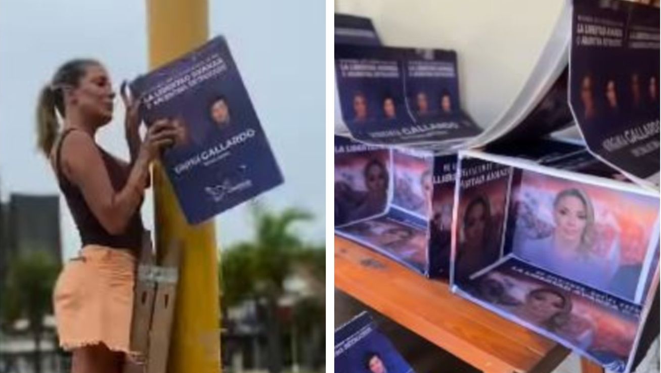 Virginia Gallardo transformó sus carteles de campaña en refugios para perros y estallaron las críticas