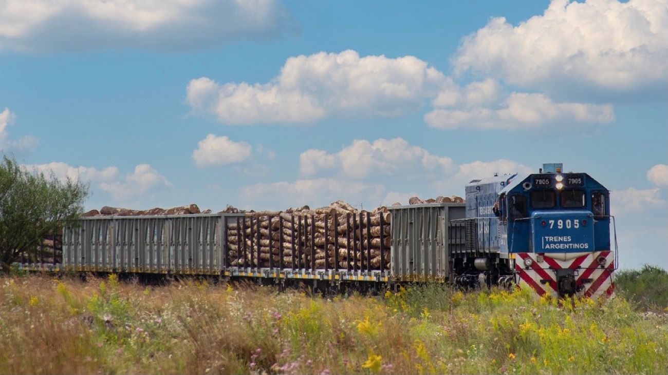 El transporte de cargas por trenes estatales aumentó 19%