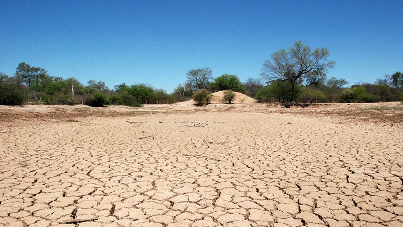 Declaran la emergencia y desastre agropecuario por sequía en Mendoza