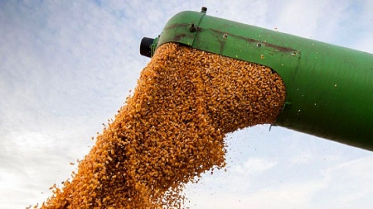 Efecto sequía: el 73% de los productores creen que no es un buen momento para hacer inversiones