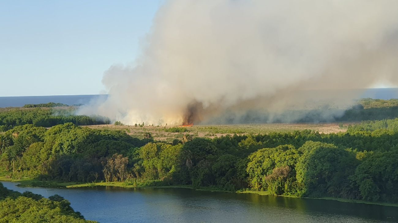 Incendio en la Reserva Ecológica: todavía hay focos, pero aseguran que "ya fue controlado"