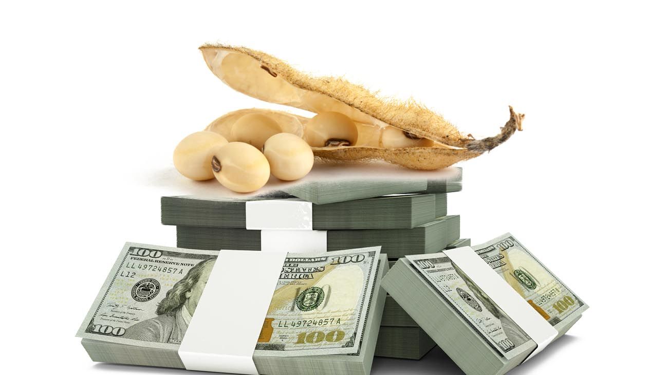 En el debut del dólar soja hubo un "aluvión" de ventas
