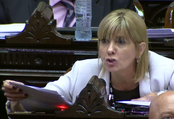 Una diputada citó a Sui Generis para oponerse al proyecto oficial