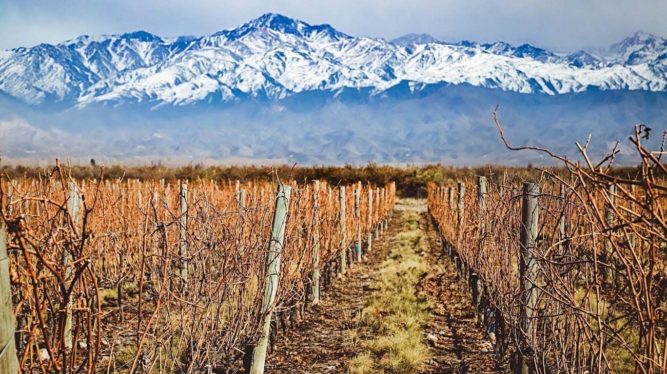 Mendoza: cuáles son las mejores opciones para disfrutar del finde XXL