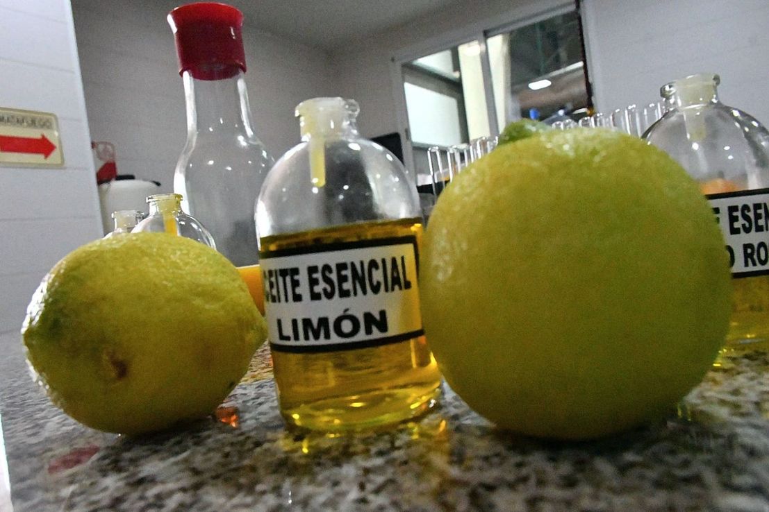 El "Plan Limón" da sus frutos: Corrientes exporta cítricos industrializados por u$s 8 millones al año
