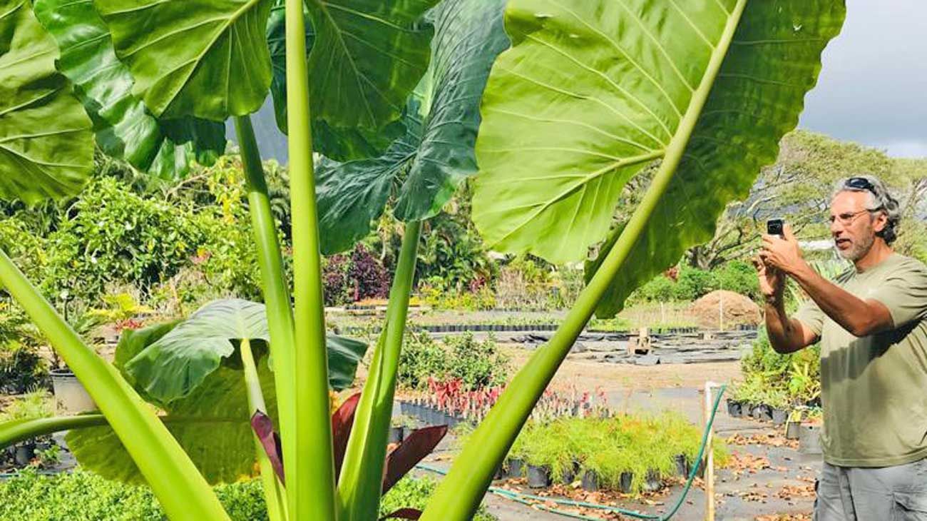 El cambio de Juan Miceli: dejó la tevé por la jardinería