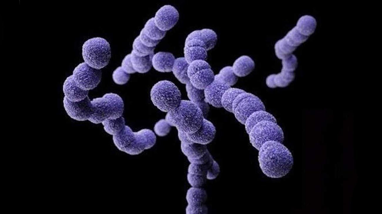 Siete niños murieron en Reino Unido por un brote de la bacteria Strep A