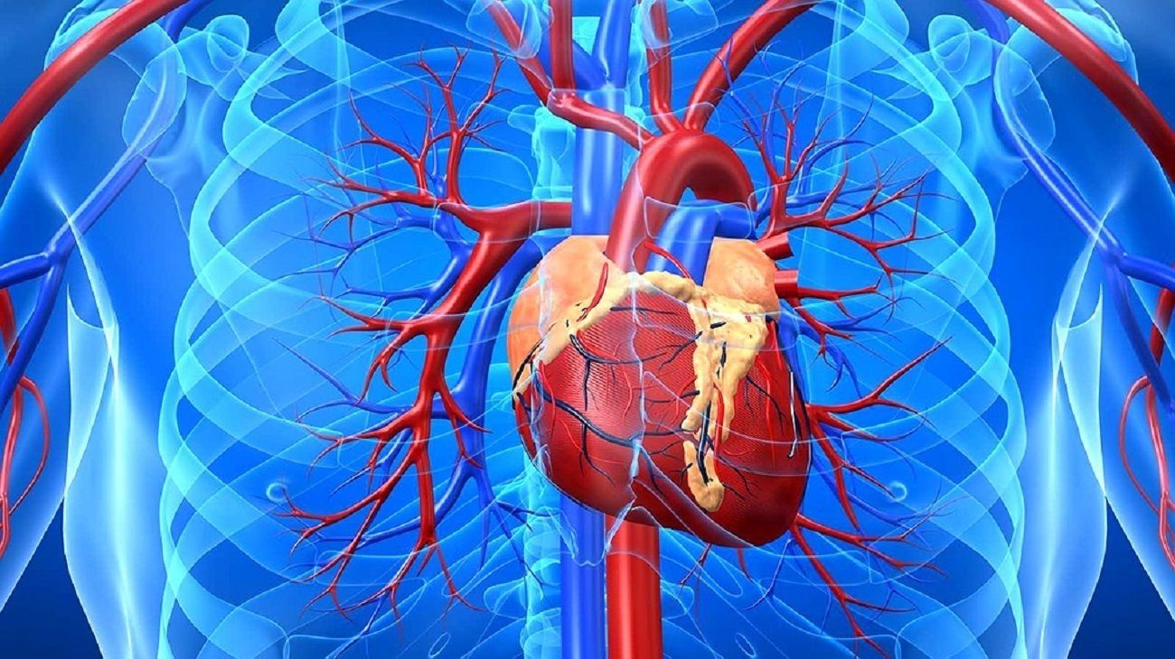 Qué es el síndrome del corazón festivo