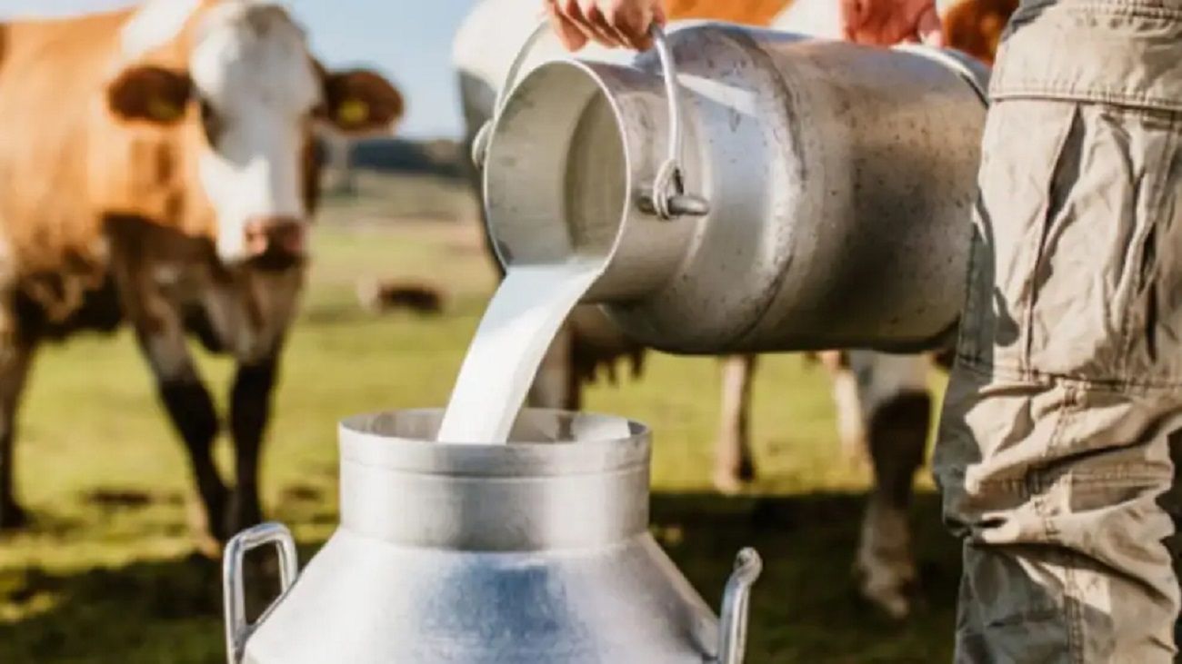 Cuál es la situación económica del sector lechero