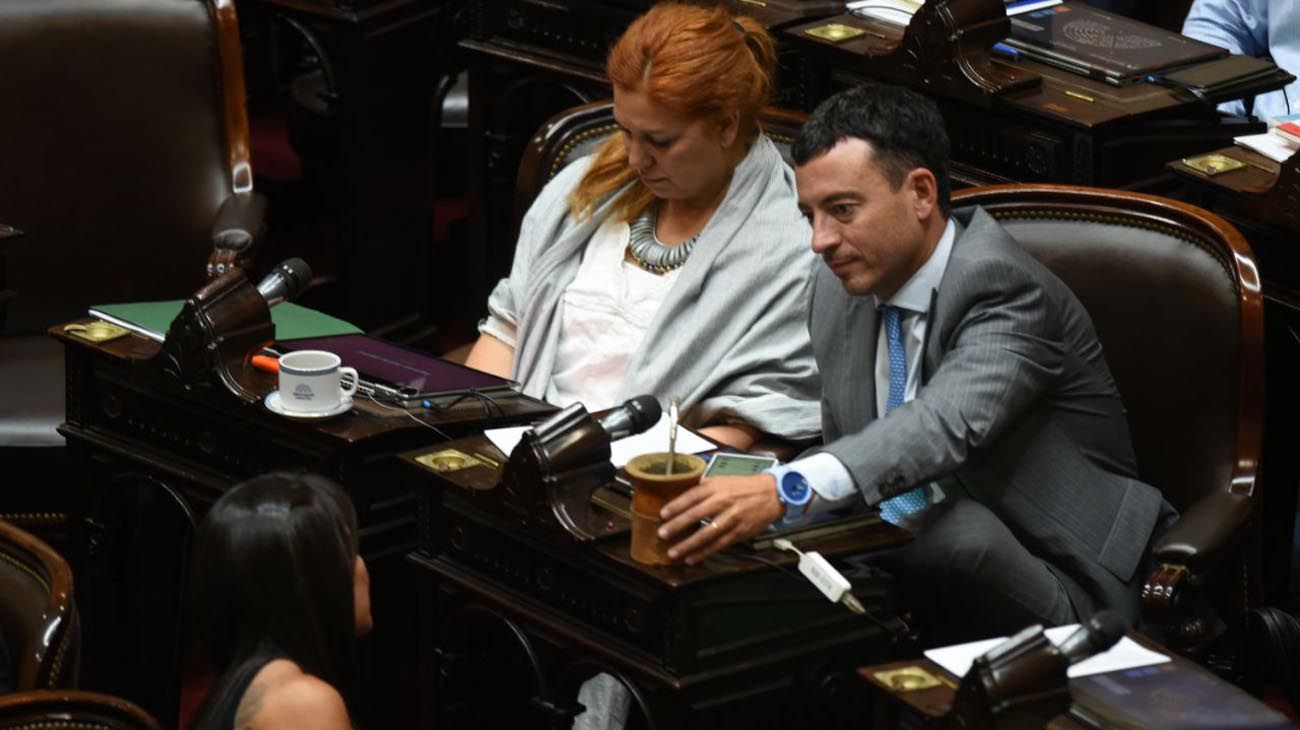 Suspensión de las PASO: Cómo votaron los diputados cordobeses