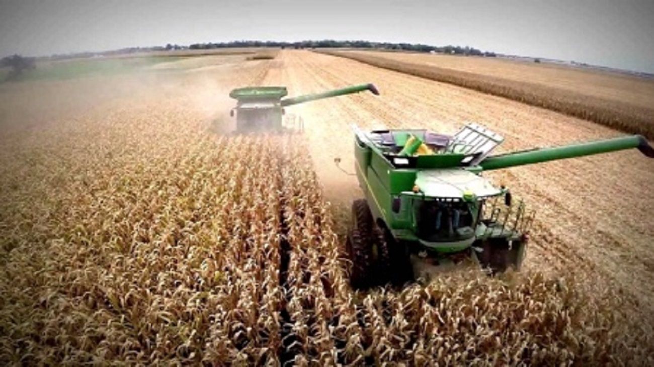 Retención en las importaciones: una variable que impide el desarrollo del sector agropecuario